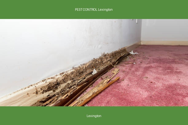 PEST CONTROL Lexington